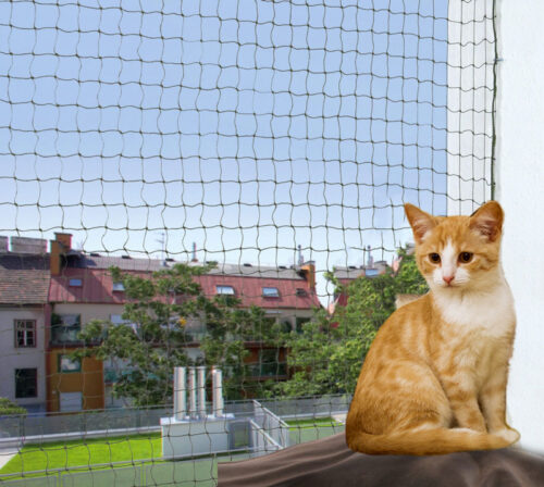reti-protezione-gatti trasparente maglia 40 x 40 mm