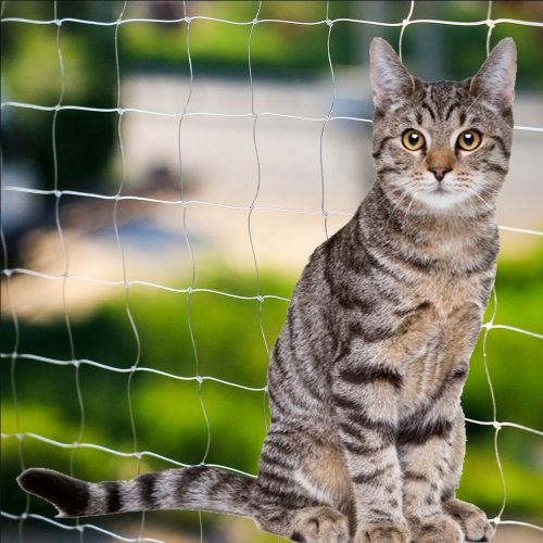 Rete recinto per gatti esterno - Bresciareti